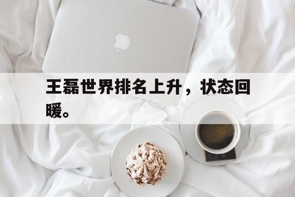 LEYU乐鱼体育-王磊世界排名上升，状态回暖。
