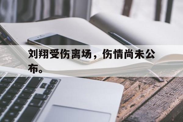 LEYU SPORTS-刘翔受伤离场，伤情尚未公布。